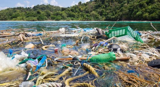 Around fifty multinationals responsible for half of global plastic pollution