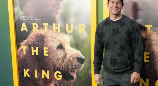 Arthur the King synopsis casting streaming… Everything about the adventure