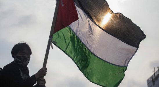 Can France recognize the State of Palestine