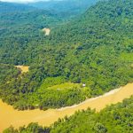 Carbon credits fail to deliver on deforestation study finds