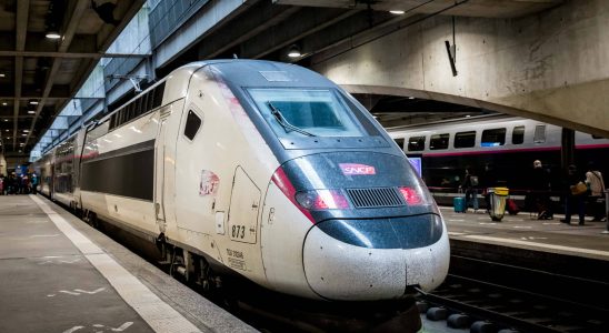 Children taken off a TGV by the police unwarned parents