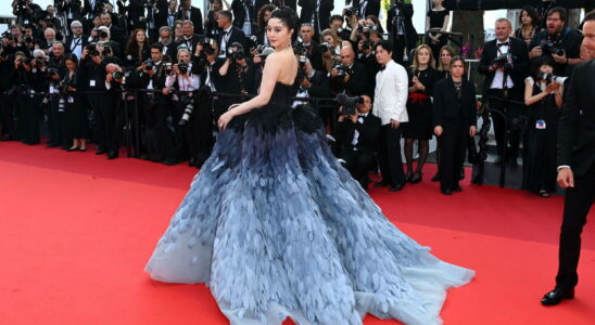 Enjoying the Cannes Film Festival without an invitation is possible