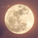 Full Flower Moon of May 2024 a wind of spring