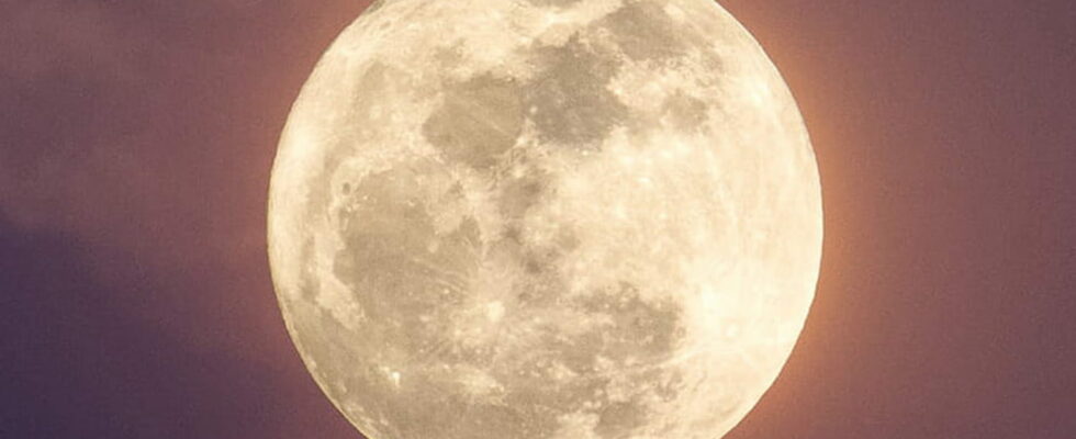 Full Flower Moon of May 2024 a wind of spring