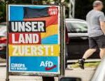 Germanys far right AfD party was kicked out of its European