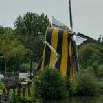 Gnawing beetles feed on Utrecht windmills Its five to twelve