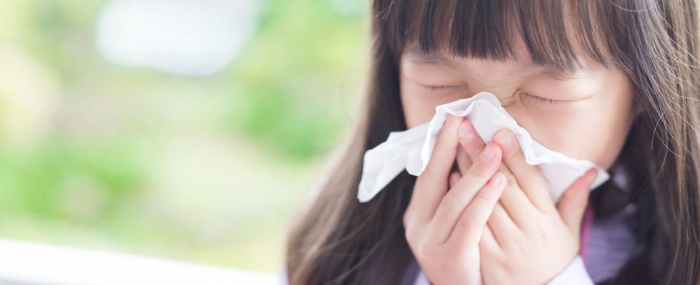 Hay fever natural and accessible tips to relieve seasonal allergies
