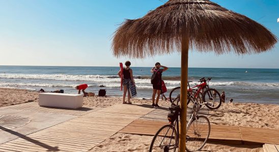 Here are Barcelonas secret beaches according to an expert and