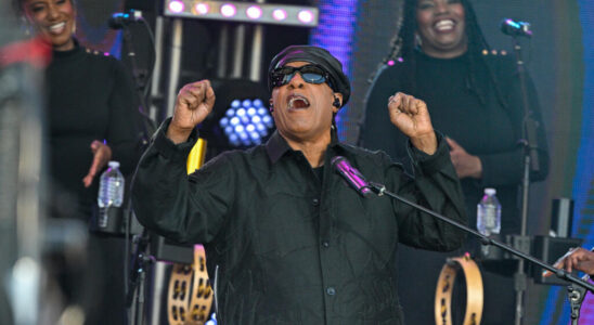 In Accra American artist Stevie Wonder becomes a Ghanaian citizen