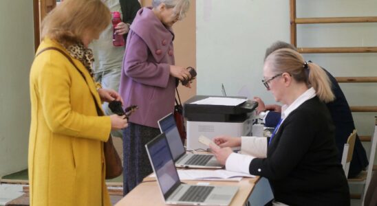 In Lithuania Russias shadow hangs over the presidential election –