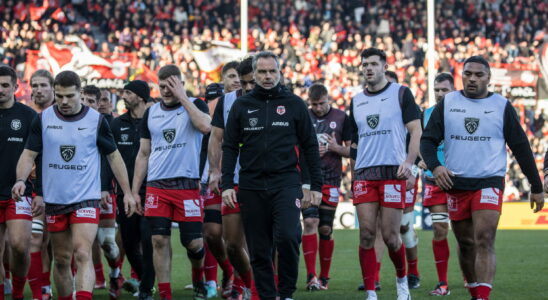 Leinster – Toulouse Mola has prepared a big surprise