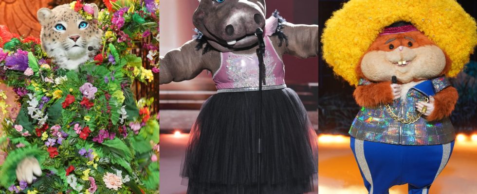 Mask Singer Hamster Hippopotamus Scarecrow The complete list of clues