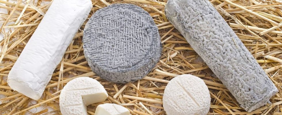 Product recall these goat cheeses are contaminated with listeria