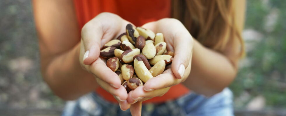 Rich in selenium this nut is excellent for the thyroid