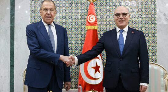 Russian planes in Tunisia This rapprochement with Moscow which worries