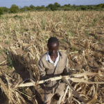 SADC appeals for 55 billion to tackle southern Africa drought
