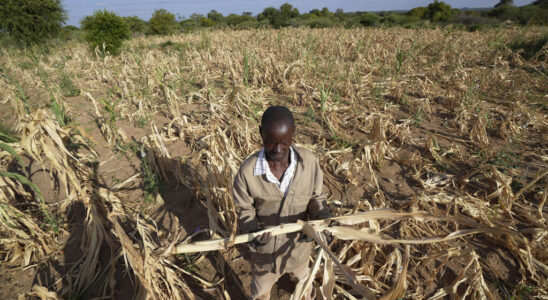 SADC appeals for 55 billion to tackle southern Africa drought