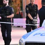 Several arrested after big fight in Malmo
