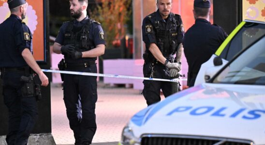 Several arrested after big fight in Malmo