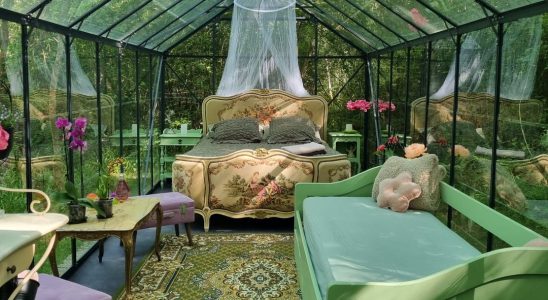 Sleep in a greenhouse