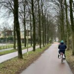 The council wants a quick approach to unsafe cycle path