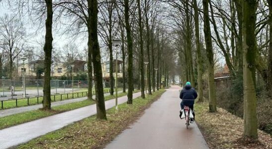 The council wants a quick approach to unsafe cycle path