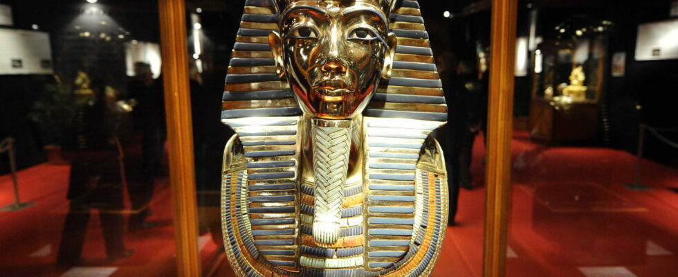The curse of Tutankhamun which killed 20 people finally explained
