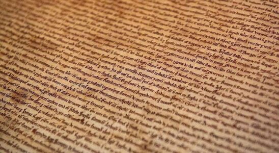 The target of climate activists this time was Magna Carta