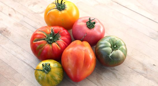 These kinds of tomatoes are best for summer salads