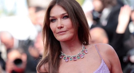 This SMS sent to Carla Bruni at the heart of