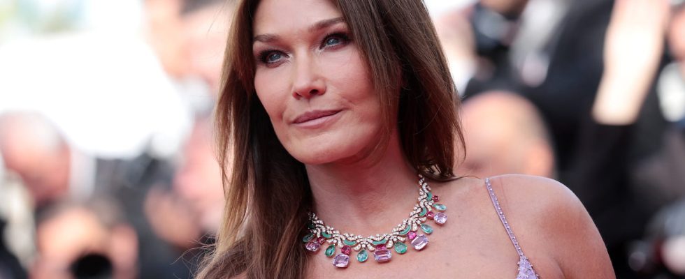 This SMS sent to Carla Bruni at the heart of