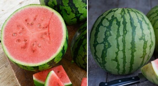 This is how you know if the watermelon is ripe