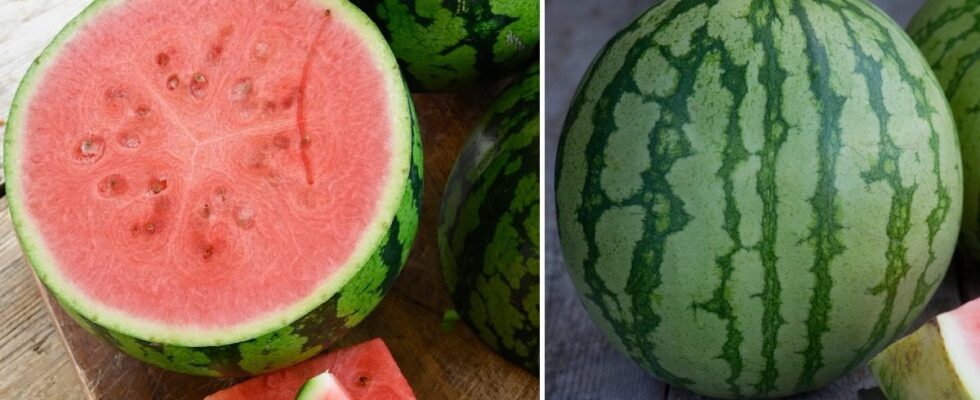 This is how you know if the watermelon is ripe