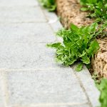 This quick and effective treatment eliminates weeds from terraces for