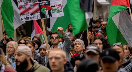 Thousands demonstrate in Sweden against Israels participation in competition