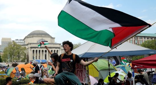 UCLA Columbia Harvard How the Palestinian question invaded American campuses