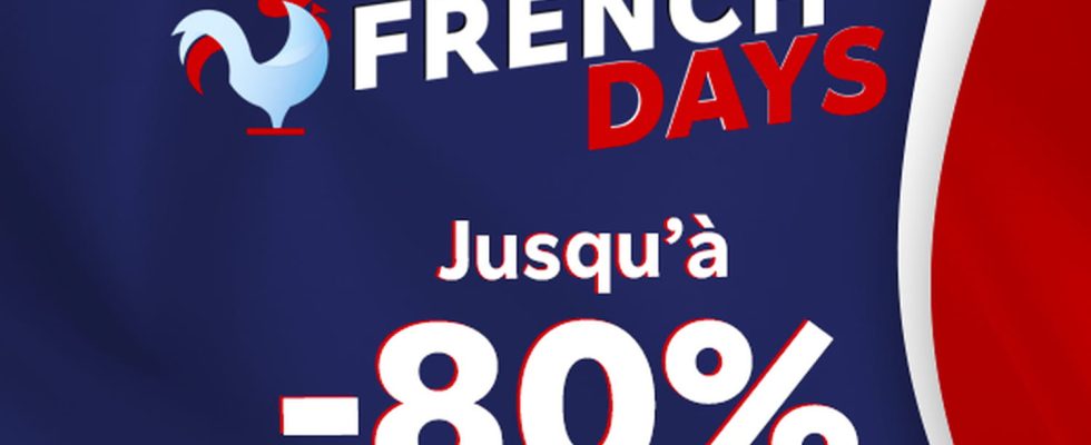 Up to 80 discount for French Days at Rakuten