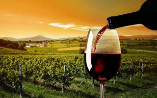 Wine Frescobaldi changes to the OCM Notice for the Promotion
