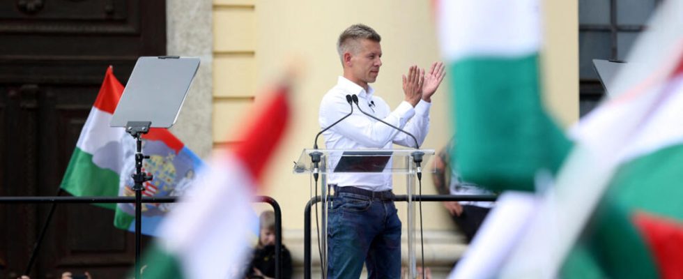 from the ruling Fidesz Peter Magyar campaigning in Viktor Orbans