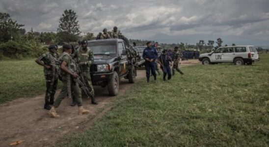 in North Kivu the FARDC offensive against the M23 continues