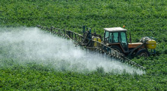 the governments controversial plan to reduce pesticides – LExpress