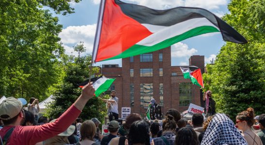 the mobilization of pro Palestinian students around the world country by
