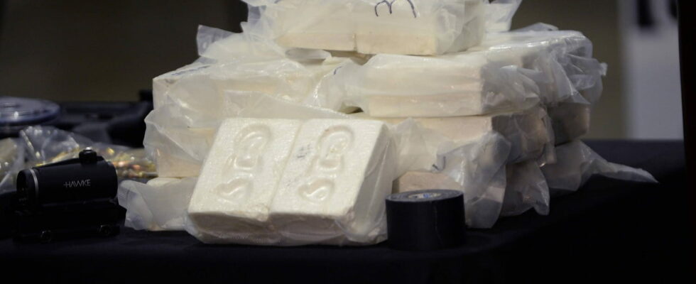 14 tonnes of cocaine seized off the coast of Martinique