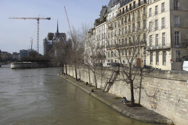 1717565945 871 The Seine is indeed contaminated a study points to a