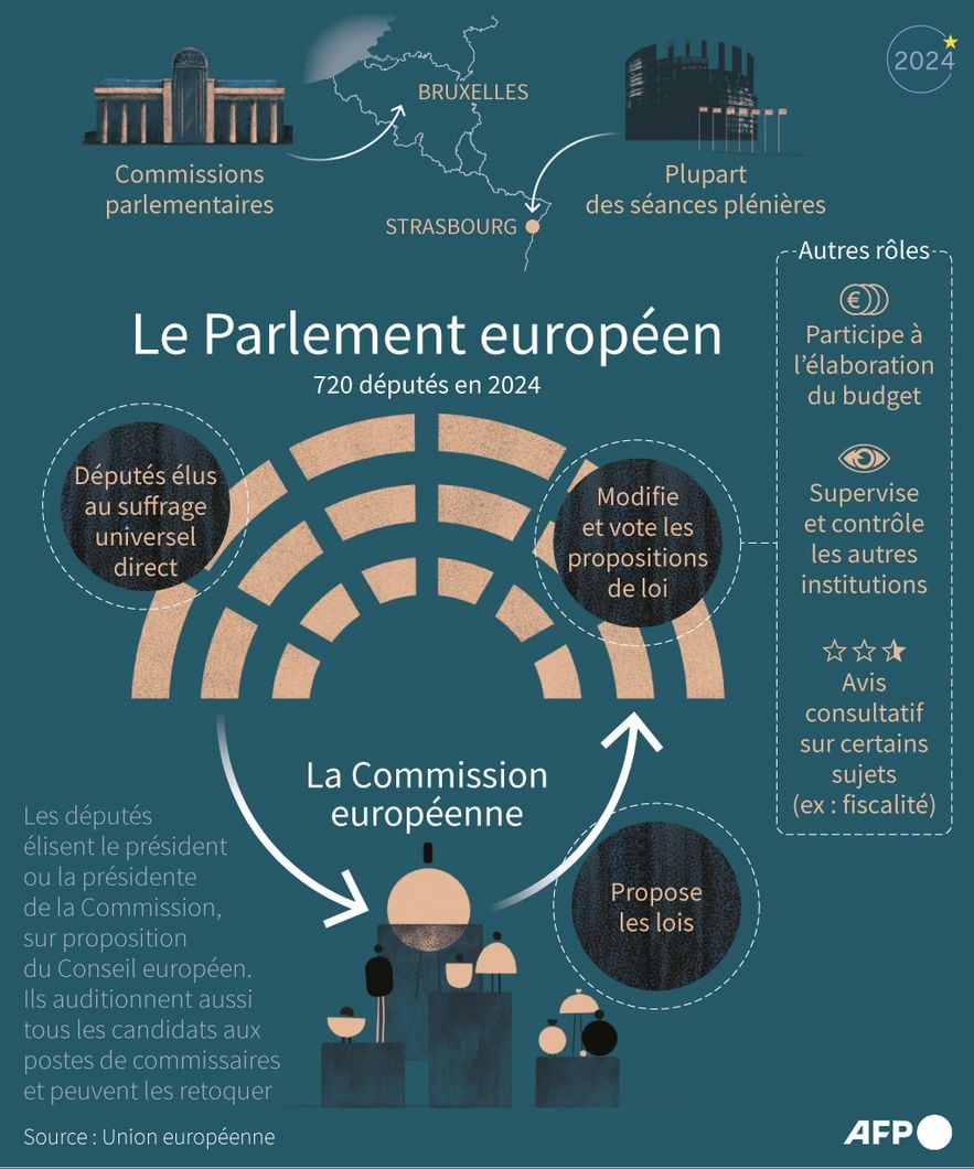 Role of the European Parliament