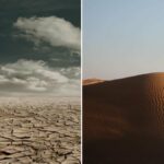 176 – World Day to Combat Desertification and Drought