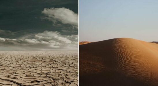 176 – World Day to Combat Desertification and Drought