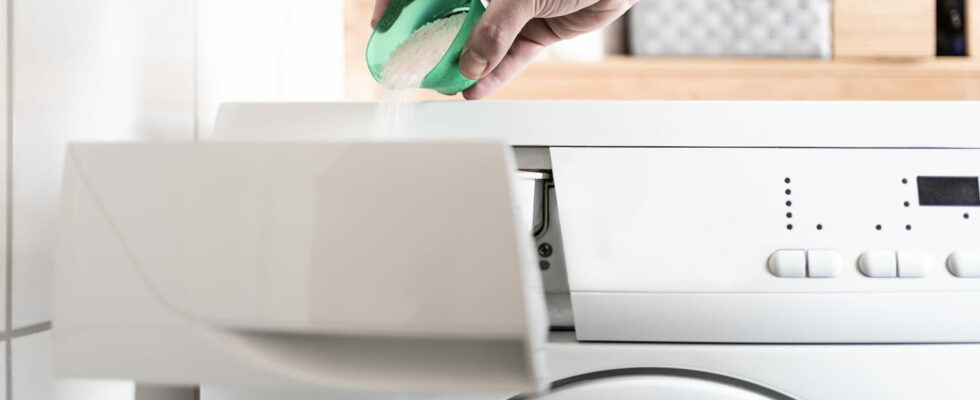 A German consumer association tested 24 detergents That of a