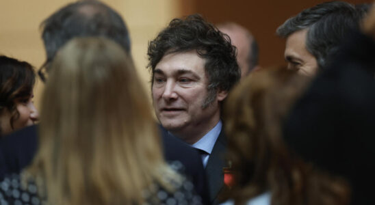 Argentinian President Javier Milei in Germany a working visit that