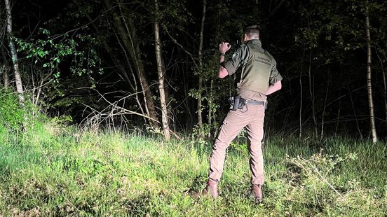Baarn forest rangers lack a firearm Criminals are given free